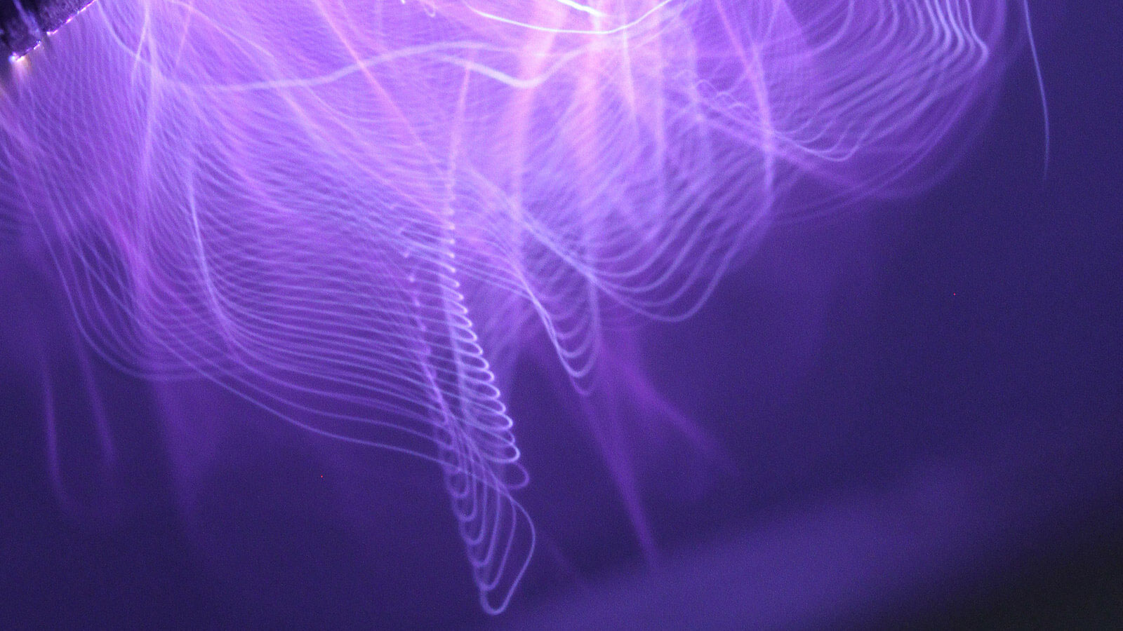 Rimere Plasma Arc